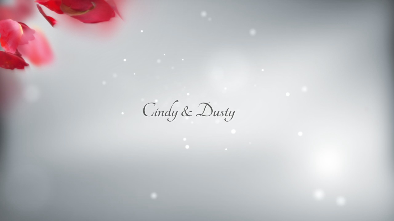 Cindy and Dusty Wedding Highlights