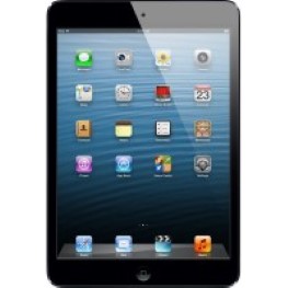 iPad Mini